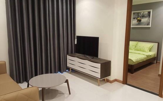apartment for rent in binh thanh district BT105L519 (6)
